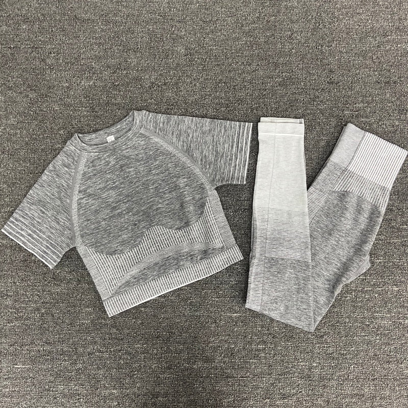 women yoga set gym clothing Female Sport fitness suit Running Clothes yoga top+ Leggings women Seamless gym yoga bra suits - Yallafit 0