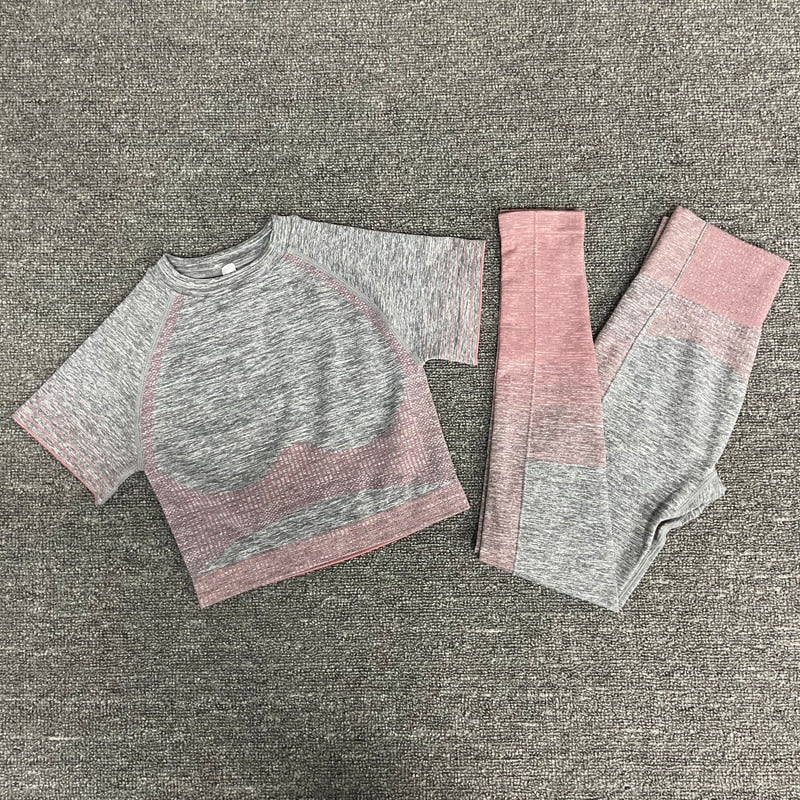 women yoga set gym clothing Female Sport fitness suit Running Clothes yoga top+ Leggings women Seamless gym yoga bra suits - Yallafit 0