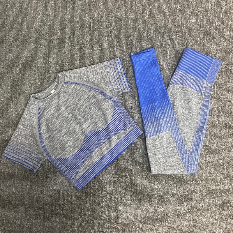 women yoga set gym clothing Female Sport fitness suit Running Clothes yoga top+ Leggings women Seamless gym yoga bra suits - Yallafit 0