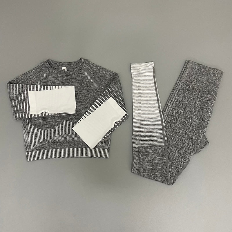 women yoga set gym clothing Female Sport fitness suit Running Clothes yoga top+ Leggings women Seamless gym yoga bra suits - Yallafit 0